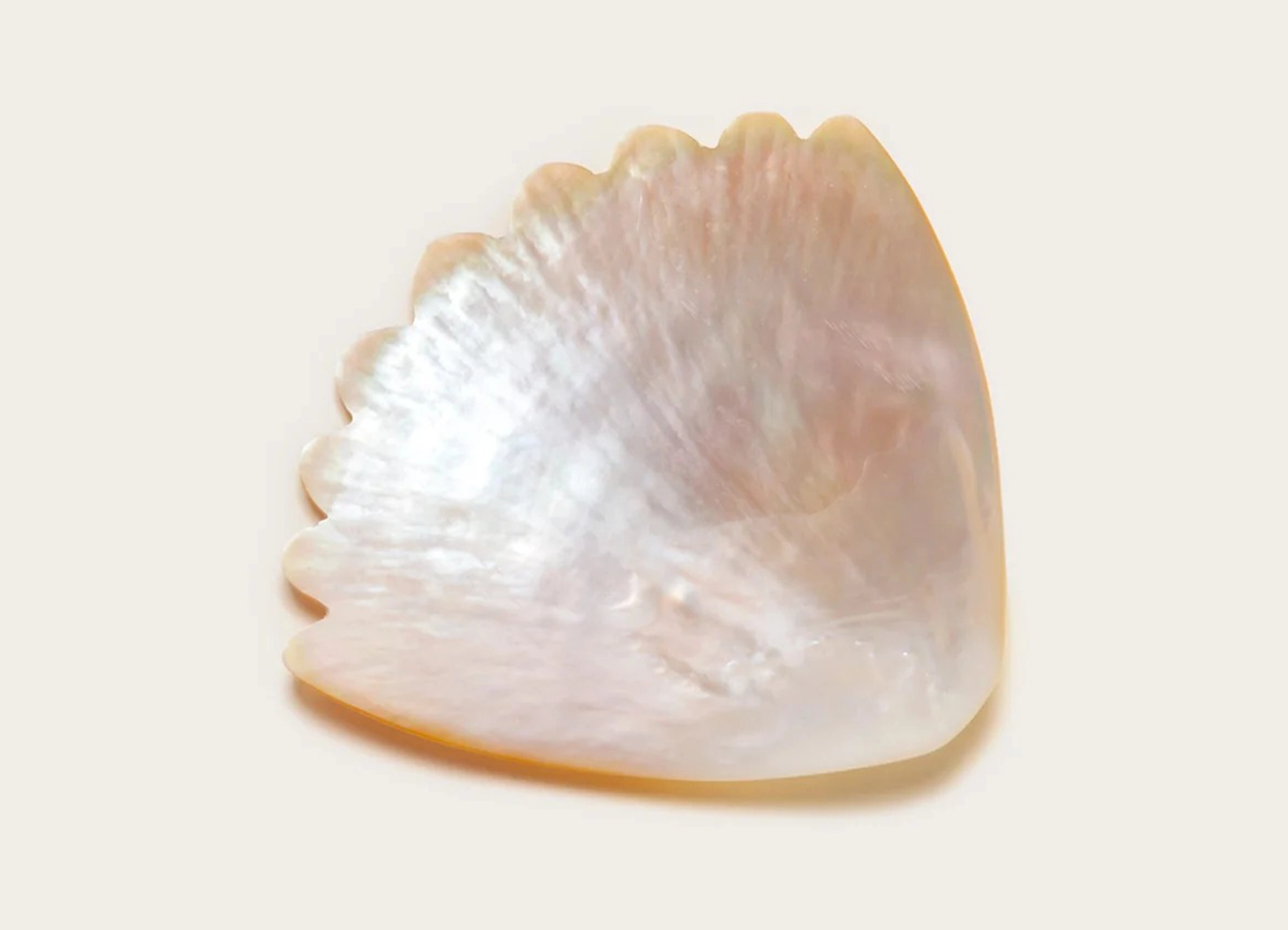 【GOHAR WORLD /  ゴハー・ワールド】COQUILLE DISH プレート
